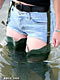 picture bbcd42.jpg