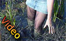 video p020_03.avi
