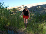 picture p059_03.jpg