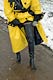 picture p148_01.jpg