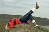 picture p160_03.jpg