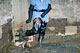 picture p239_02.jpg
