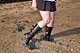 picture p277_02.jpg