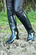 picture p296_02.jpg