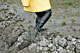 picture p317_02.jpg