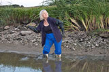 picture p331_03.jpg