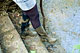 picture p336_02.jpg