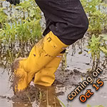 coming on next week